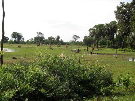 camboya-y-vietnam-12-frontera-04