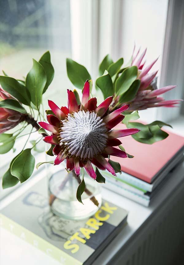 AYS-Espacios-Amplios-Luminosos-6b