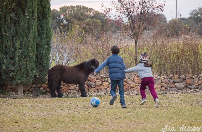 picnic de invierno jugando al balón