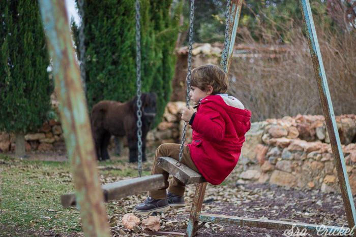 picnic de invierno columpio