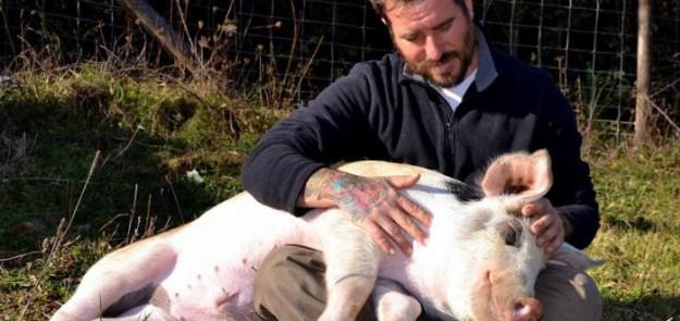 Historias vegetarianas Santuario Gaia