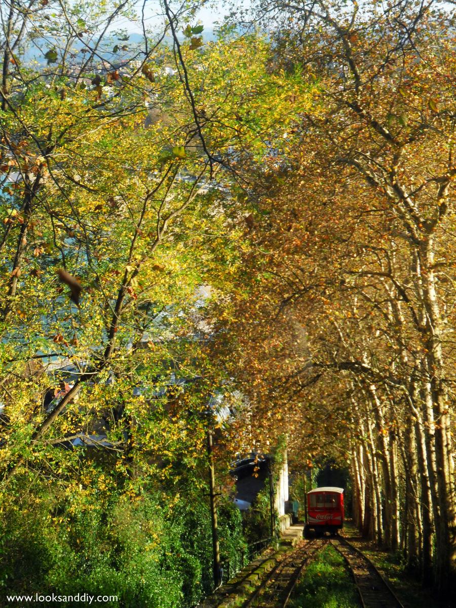 San Sebastián 19 LOOKS AND DIY