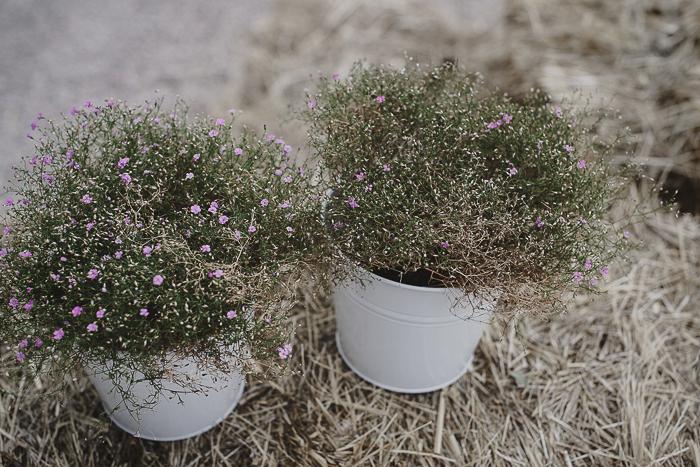 Boda de Israel y Raquel al aire libre en madrid