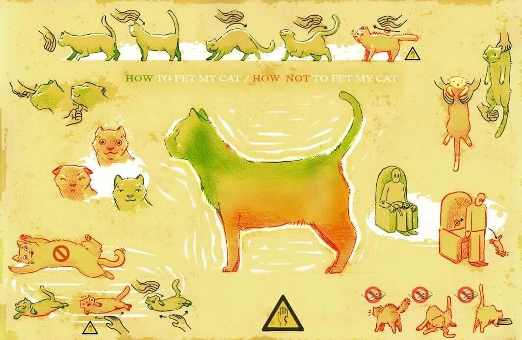 Dónde acariciar a un gato