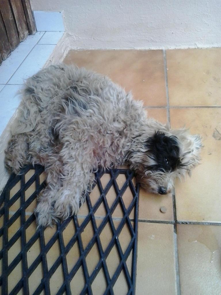 19114630789_af41131aea_b