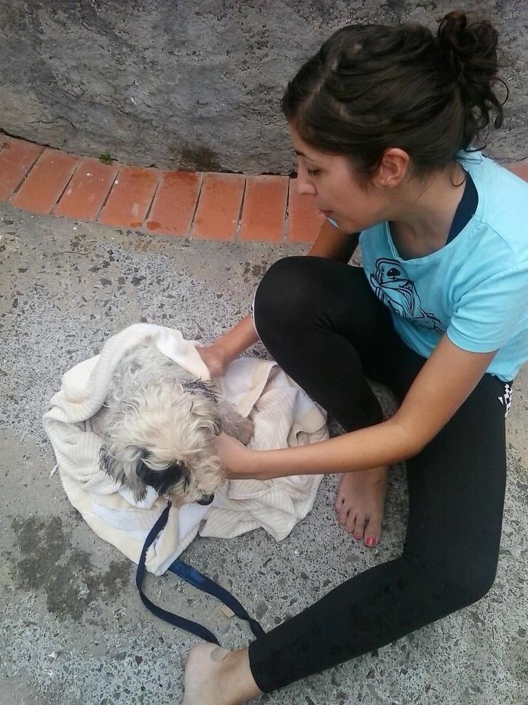 19300668145_36eddb5ef5_b