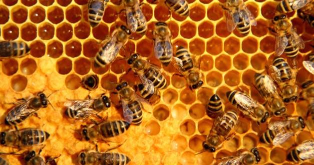 como-no-tener-catarros-corriendo