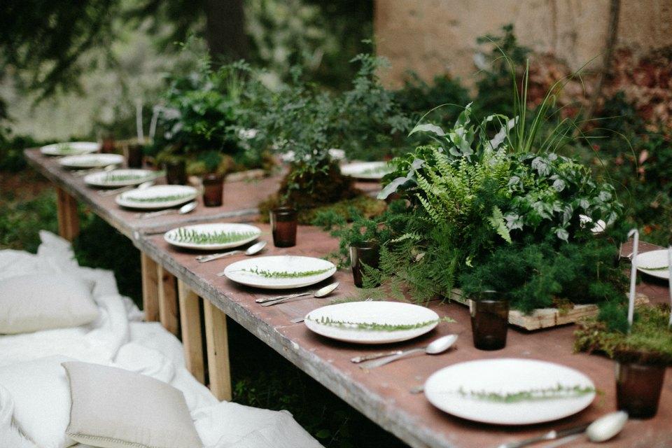 Outdoor gathering en All Lovely Party