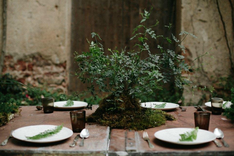 Outdoor gathering en All Lovely Party