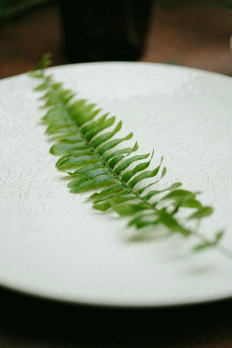 Outdoor gathering en All Lovely Party