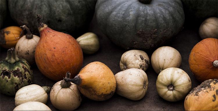 Homelifestyle-Magazine-Hotel-The-Wild-Rabbit