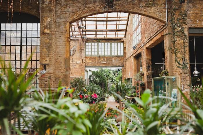 Hivernacle, un paraíso de plantas en Barcelona 