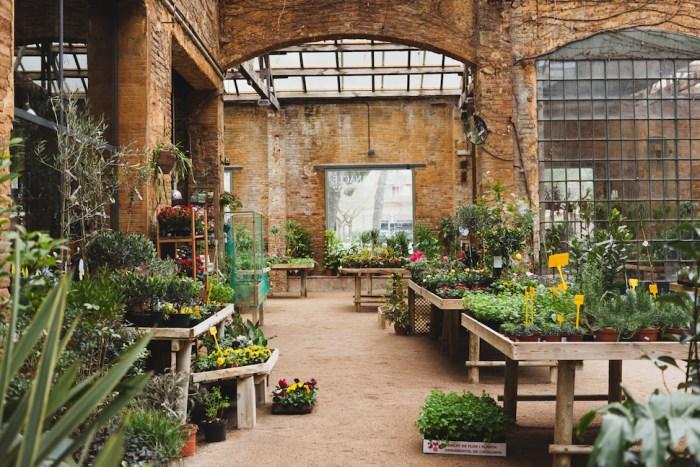 Hivernacle, un paraíso de plantas en Barcelona 