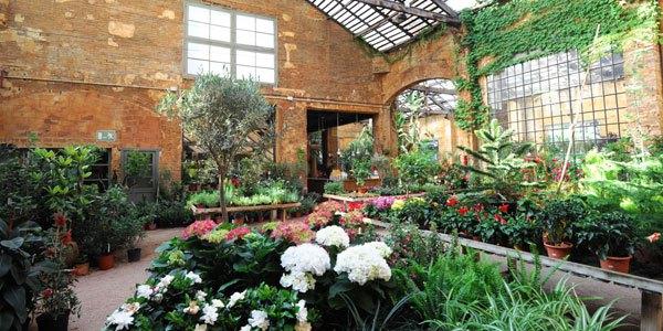 Hivernacle, un paraíso de plantas en Barcelona 