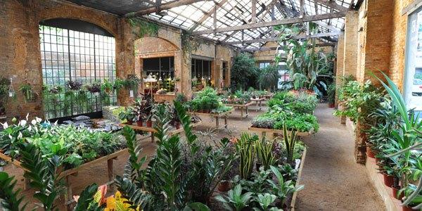 Hivernacle, un paraíso de plantas en Barcelona 