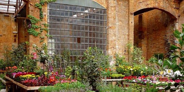 Hivernacle, un paraíso de plantas en Barcelona 