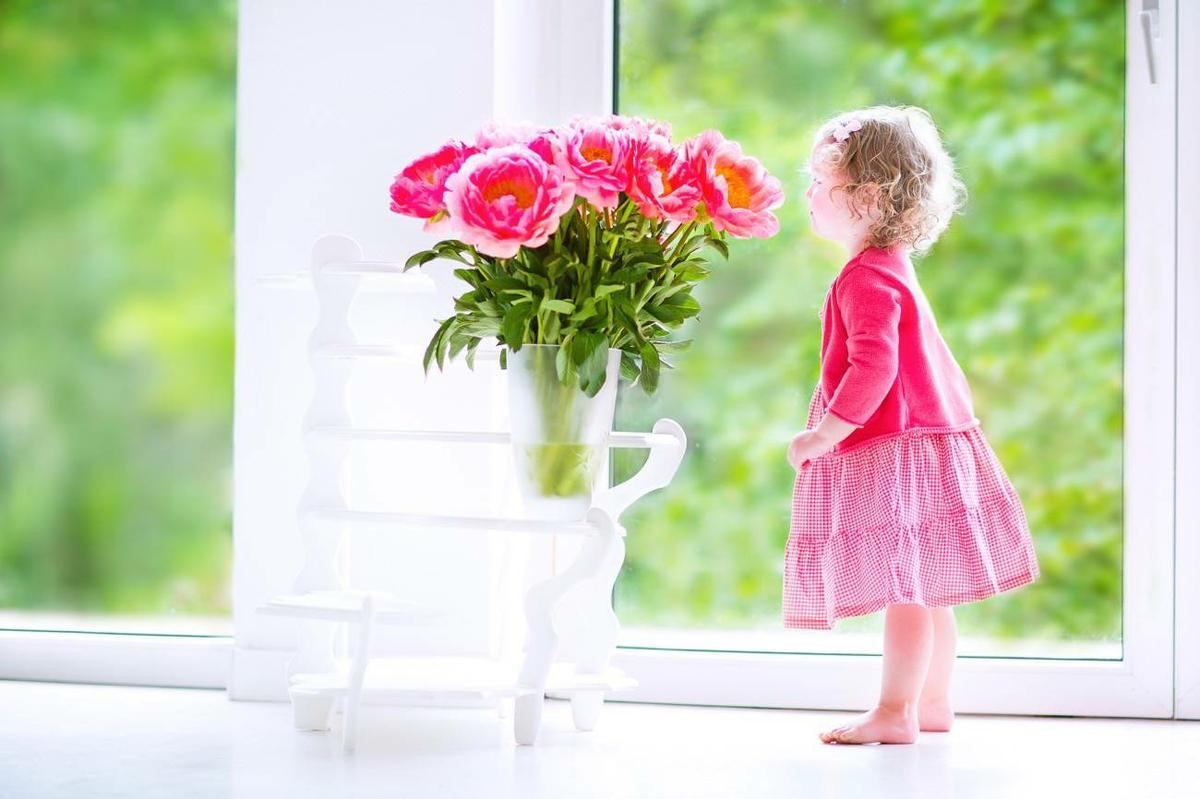 olores en el hogar - fragancia de flores - decorar con flores y plantas