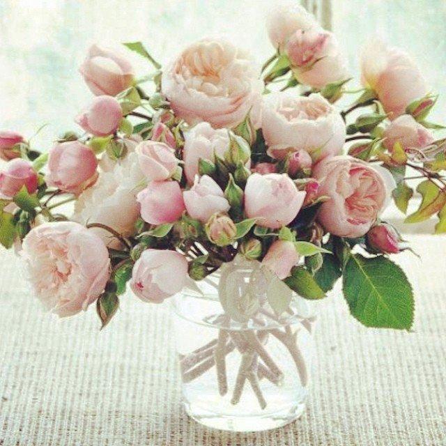 decorar con flores y plantas