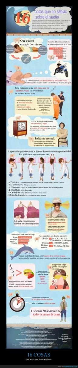 Infografía Curiosidades sobre el sueño