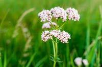 contrarrestar la ansiedad