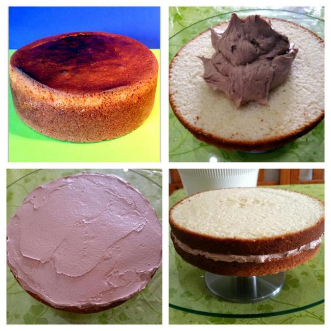 Capas de bizcocho