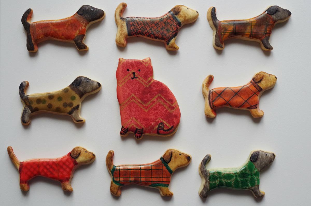 doctorcookies galleta decorada perros dog cookie (26)