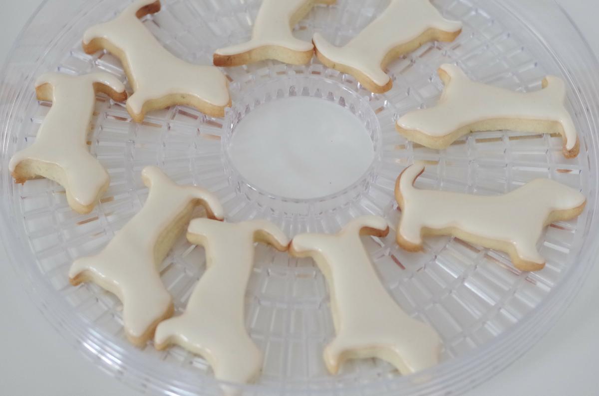 doctorcookies galleta decorada perros dog cookie (3)