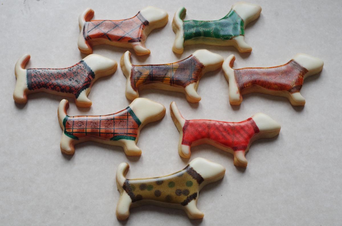 doctorcookies galleta decorada perros dog cookie (10)