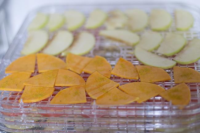 Deshidratadora de alimentos