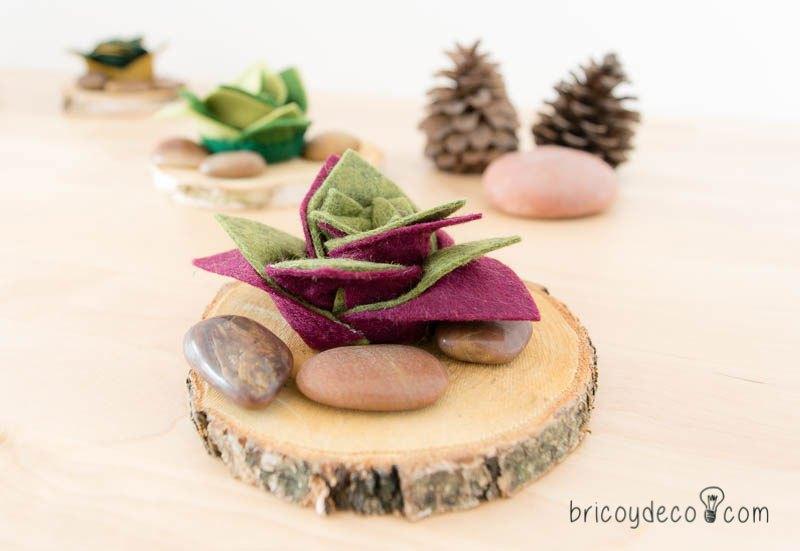 plantas suculentas de fieltro 