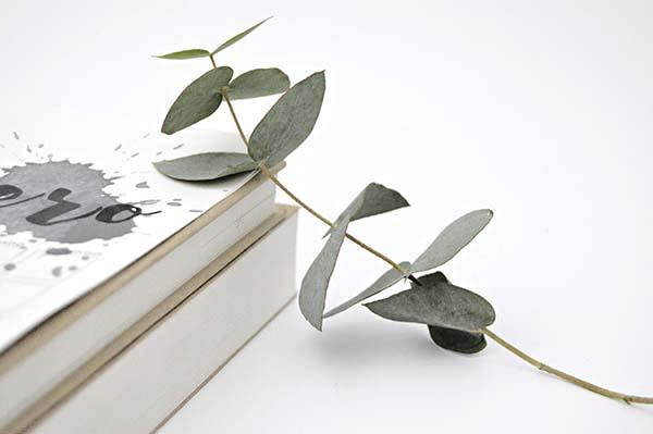 AYS-Descargable-Febrero-3