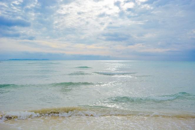 DSC_0464 (1) pura vida