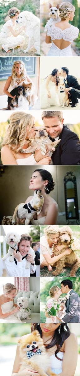 perro_mascota_boda_ana_pla_decoracion_eventos_candy_bar3