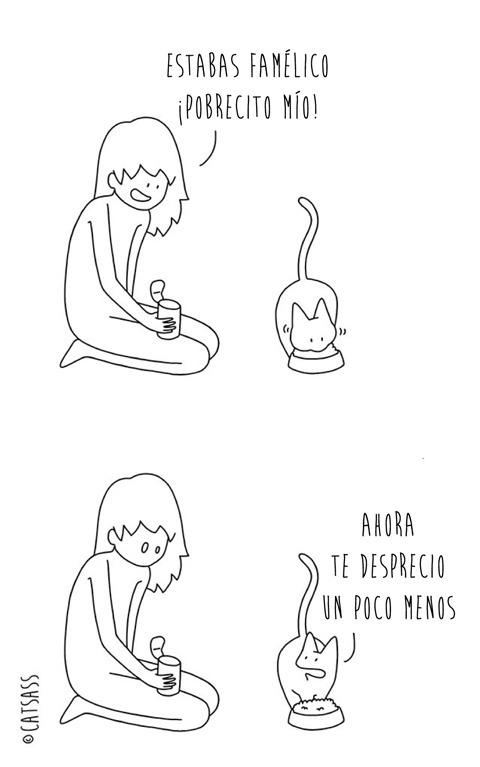14 viñetas que ponen de manifiesto el verdadero pensamiento de los Gatos 10