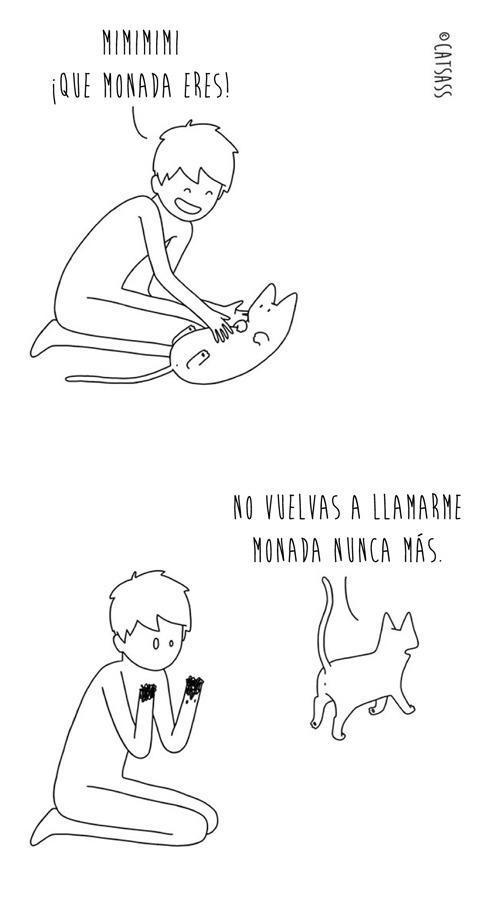 14 viñetas que ponen de manifiesto el verdadero pensamiento de los Gatos 13