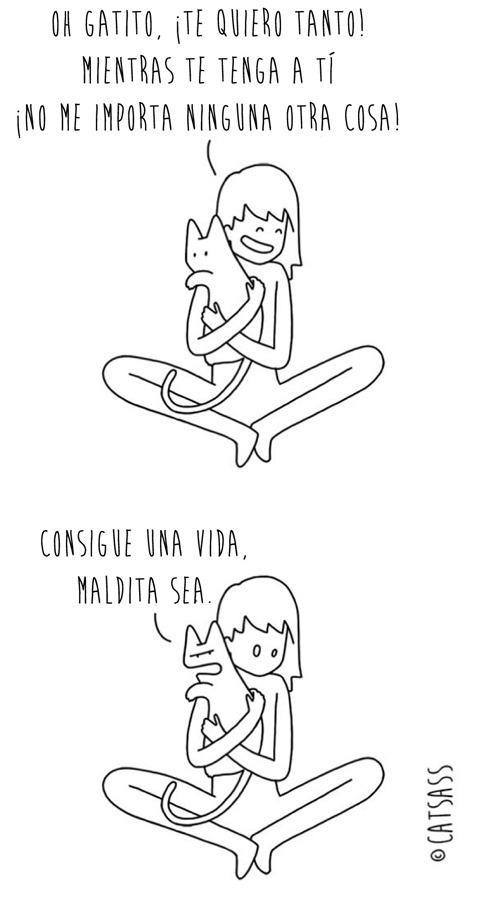 14 viñetas que ponen de manifiesto el verdadero pensamiento de los Gatos 6