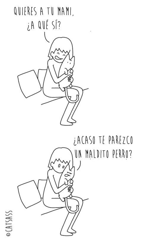 14 viñetas que ponen de manifiesto el verdadero pensamiento de los Gatos 8