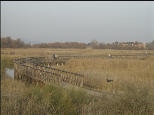 Tablas de Daimiel 2008