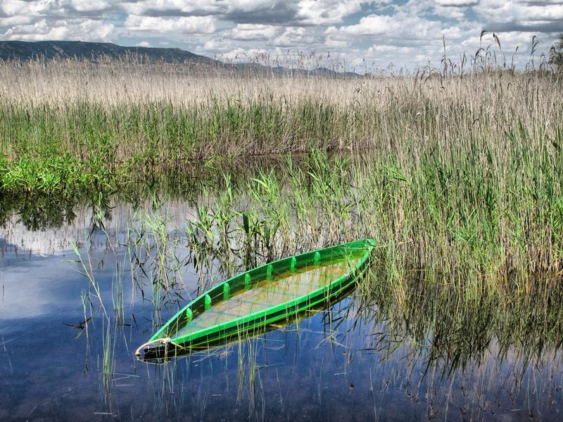Tablas de Daimiel 2013