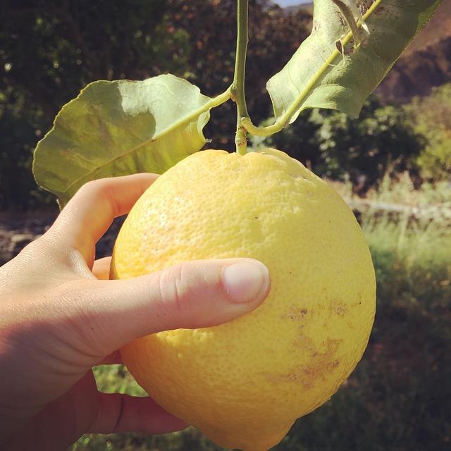 agua de limon alcalina