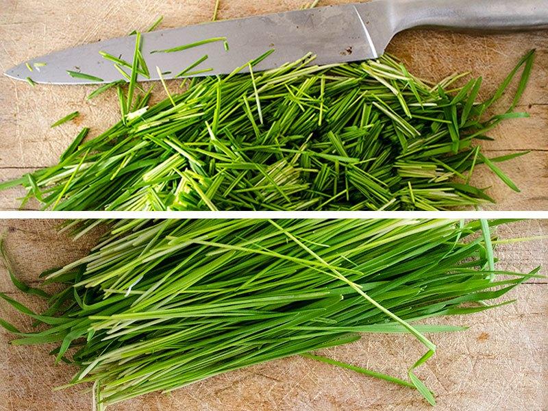 cortar wheatgrass