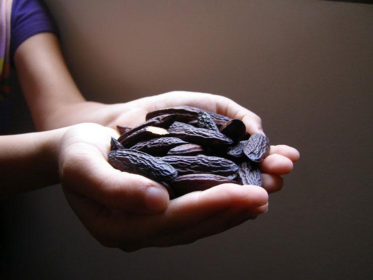 HomeLifeStyle-Magazine-gin-tonic-haba-tonka