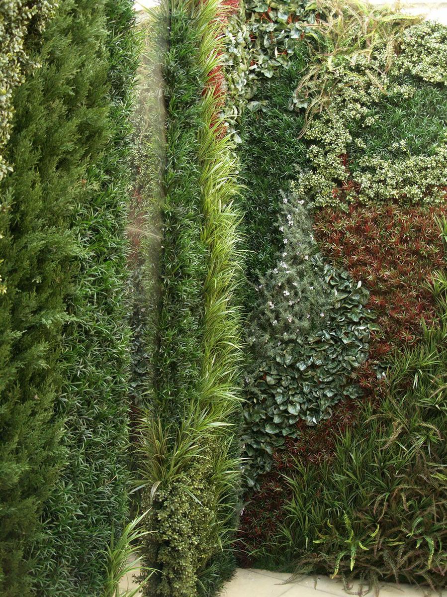 preparar el jardín paredes verdes