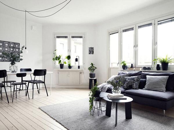 AYS-rincon-perfecto-planta-2