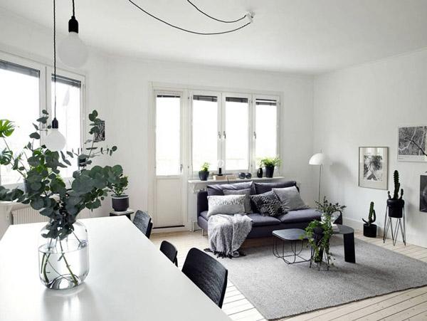 AYS-rincon-perfecto-planta-5