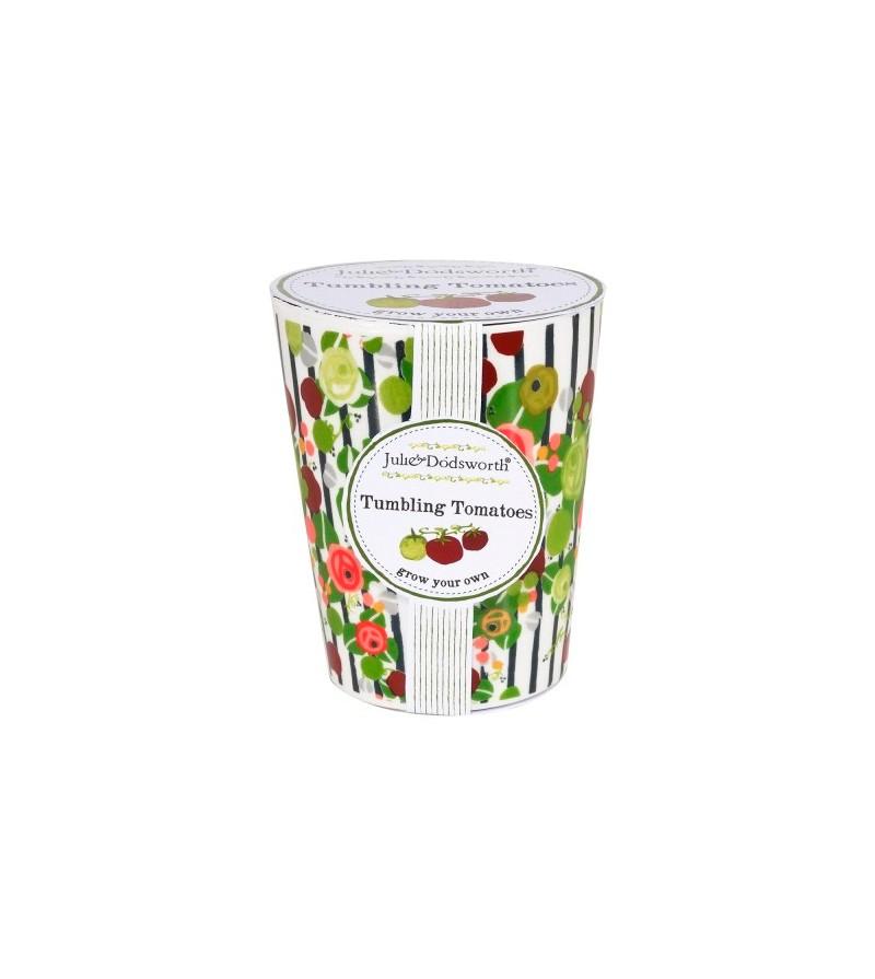 grown-your-own-tomate-semilla-con-maceta