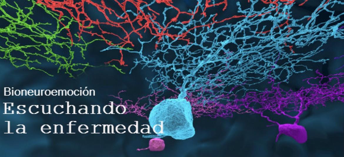 bioneuroemocion