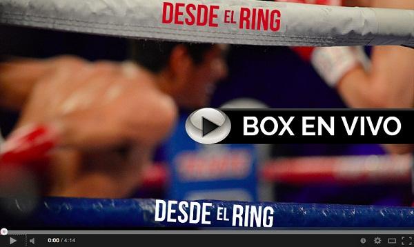 Páginas para ver boxeo online