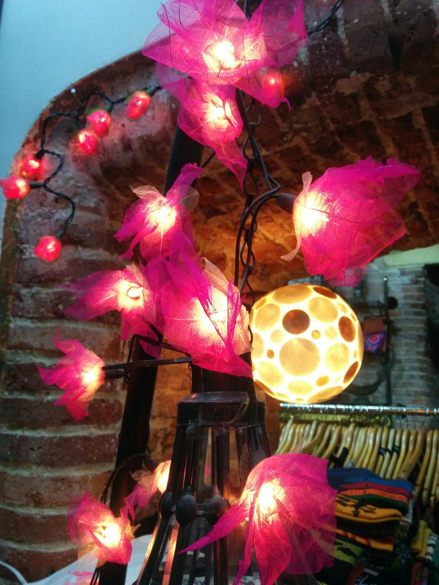 IMG_20160206_203119 - copia