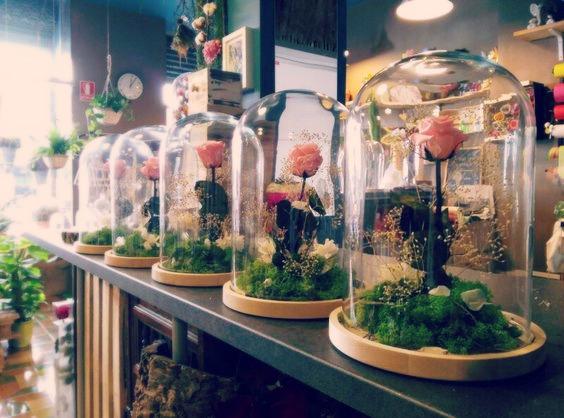 487a0e513bc4dc6d991d0d6eadf1a70c